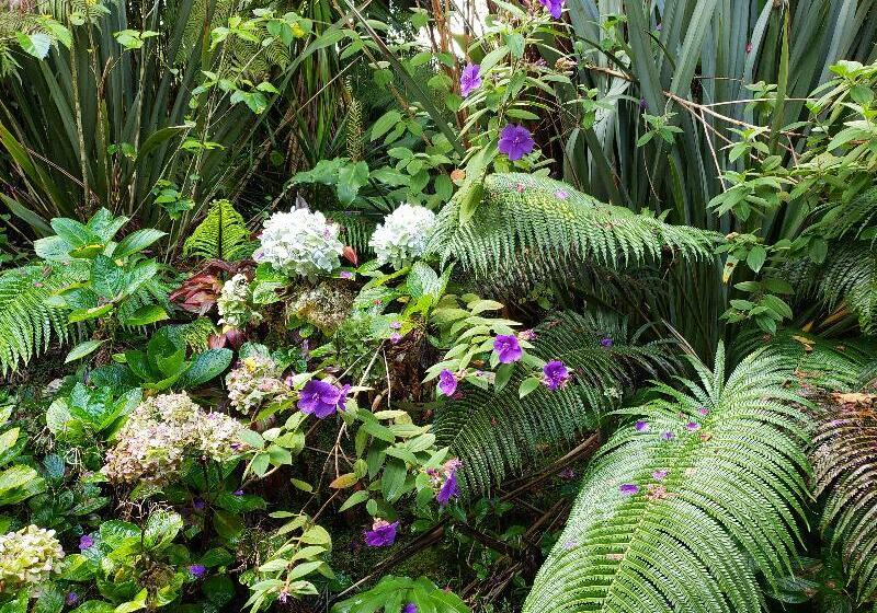 ホテル Lokahi Lodge