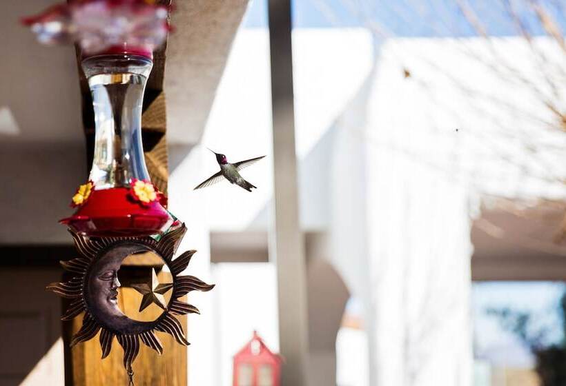 Отель Los Viajeros Inn