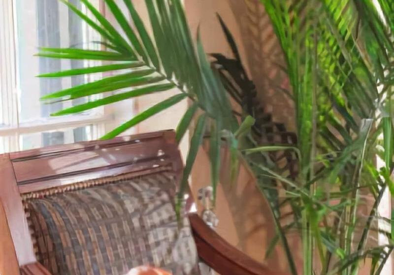 Отель The University Inn Ann Arbor