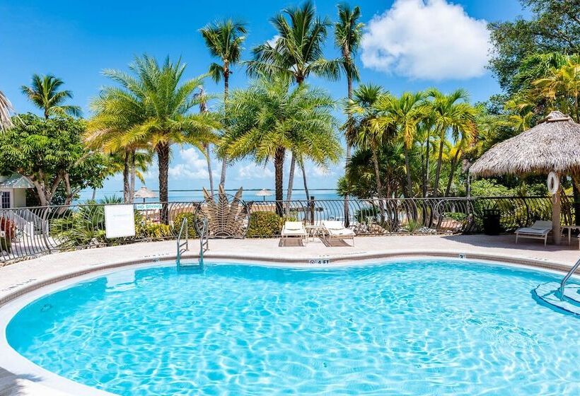 Kona Kai Resort And Gallery