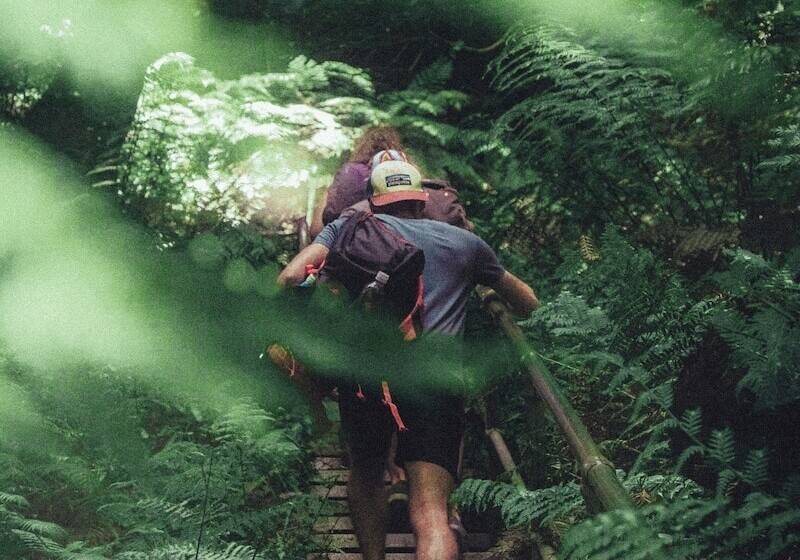 Lansdowne Resort And Spa