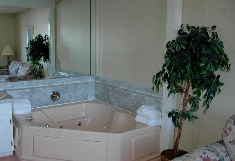 모텔 Lockport Inn And Suites