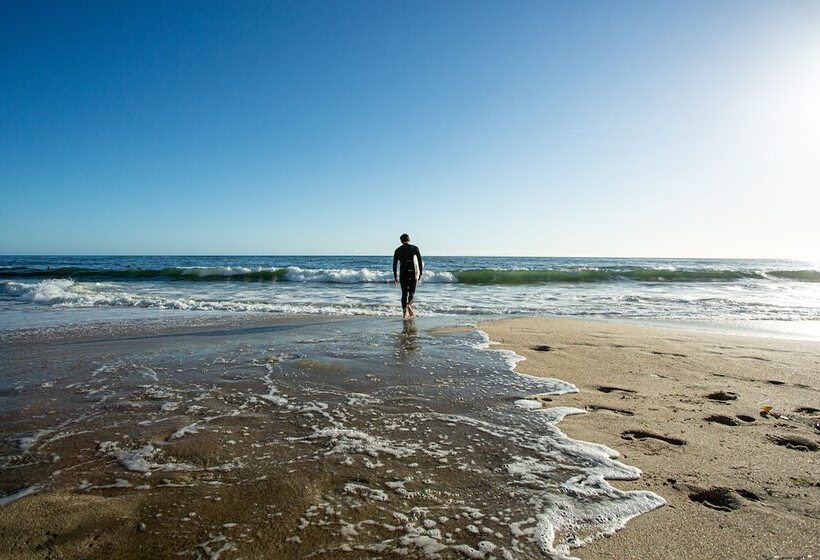 리조트 Laguna Surf Lodge By Scp Hotels