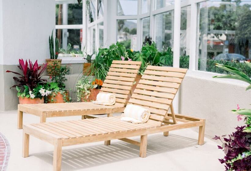 리조트 Laguna Surf Lodge By Scp Hotels