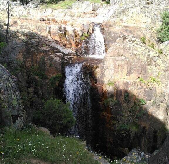 Hospedium Hotel El Nido De Alcudia Suites