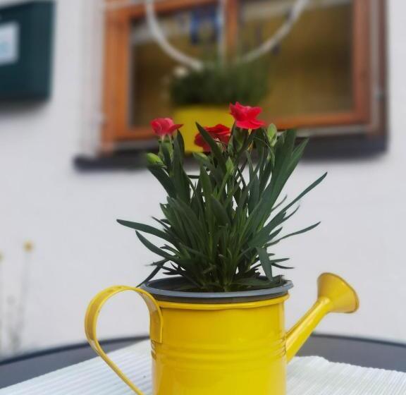 בית מלון כפרי Landhaus Zell Am See