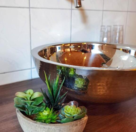 בית מלון כפרי Landhaus Zell Am See