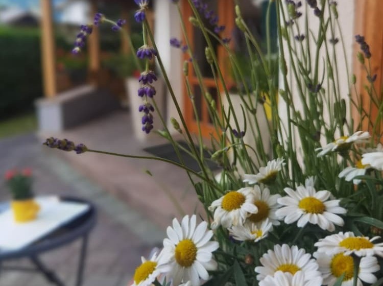 בית מלון כפרי Landhaus Zell Am See