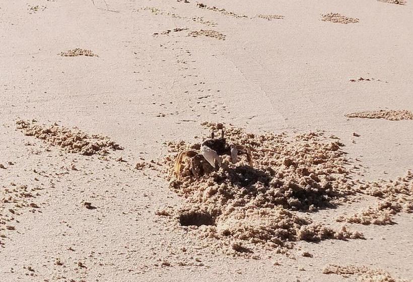 فندق صغير Nattida Bungalow & Hashery