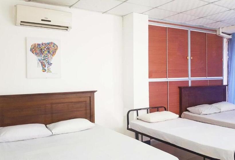 هاستل Beehive Colombo