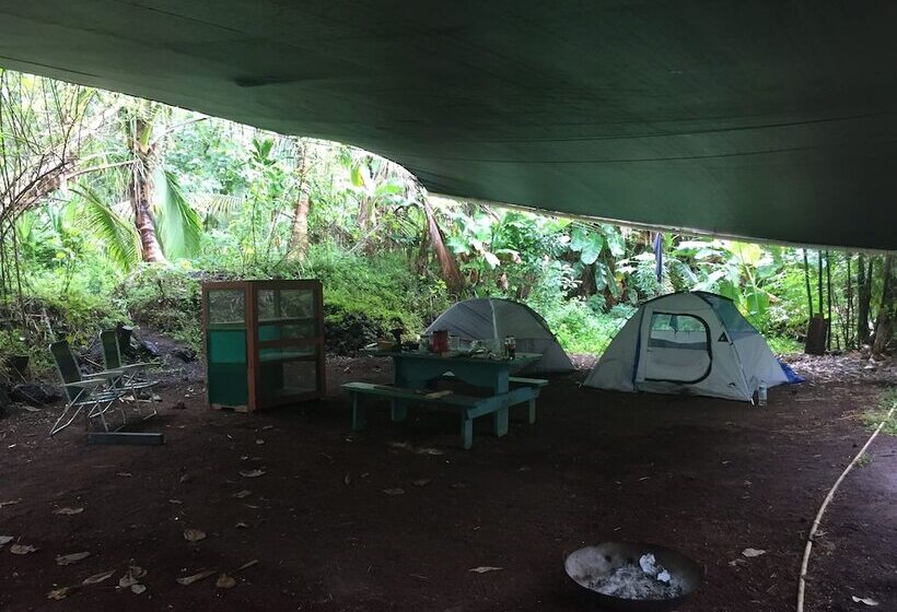 Cinderland Ecovillage   Hostel