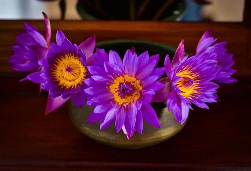 ペンション Garland Beach Villa