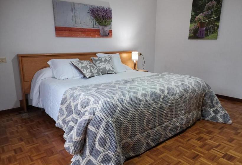 ペンション Garden Lodge Hostal Evencio