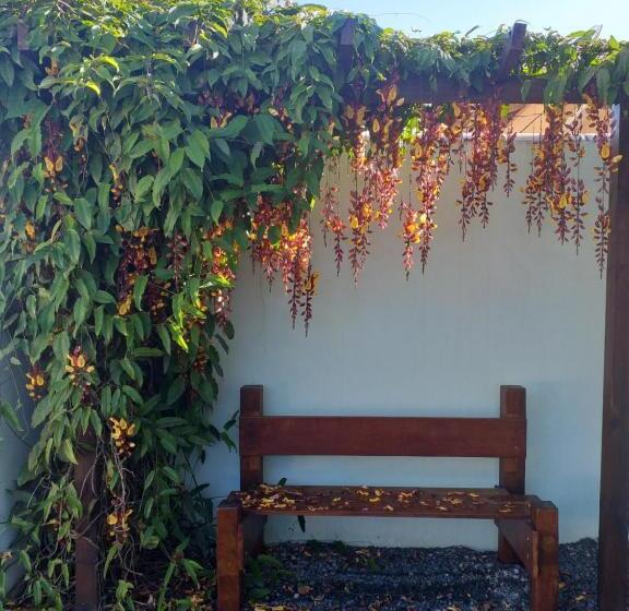 بنسيون Pérola De Bombinhas