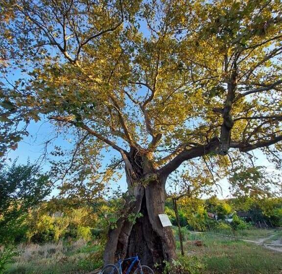 پانسیون Villa Bratislava