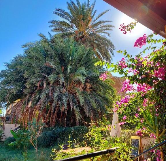 پانسیون Golden Palms Guest House & Cafe