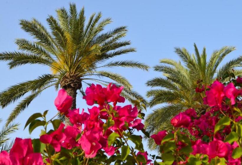 ペンション Golden Palms Guest House & Cafe