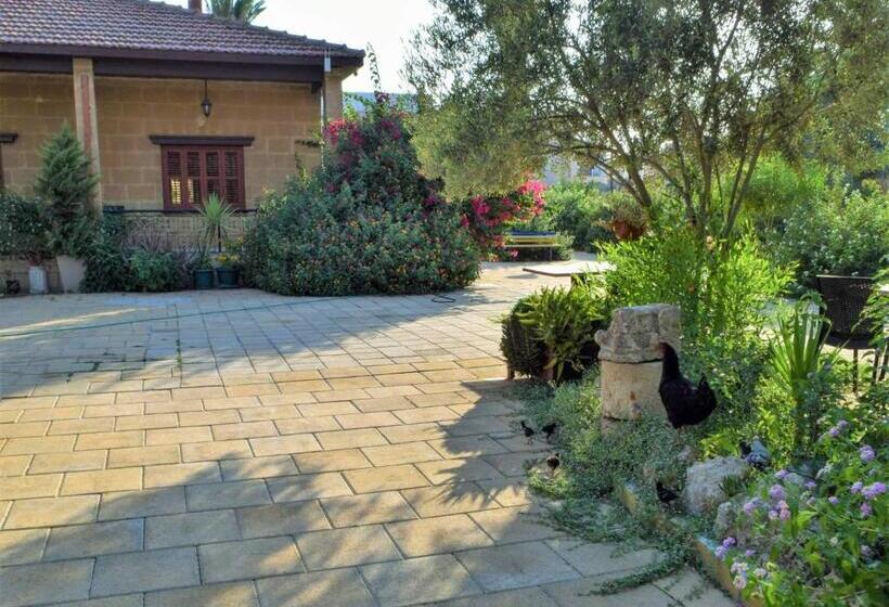 ペンション Golden Palms Guest House & Cafe