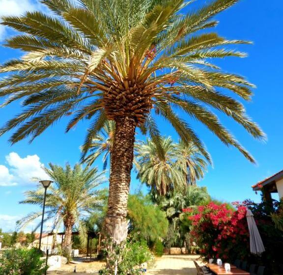 ペンション Golden Palms Guest House & Cafe