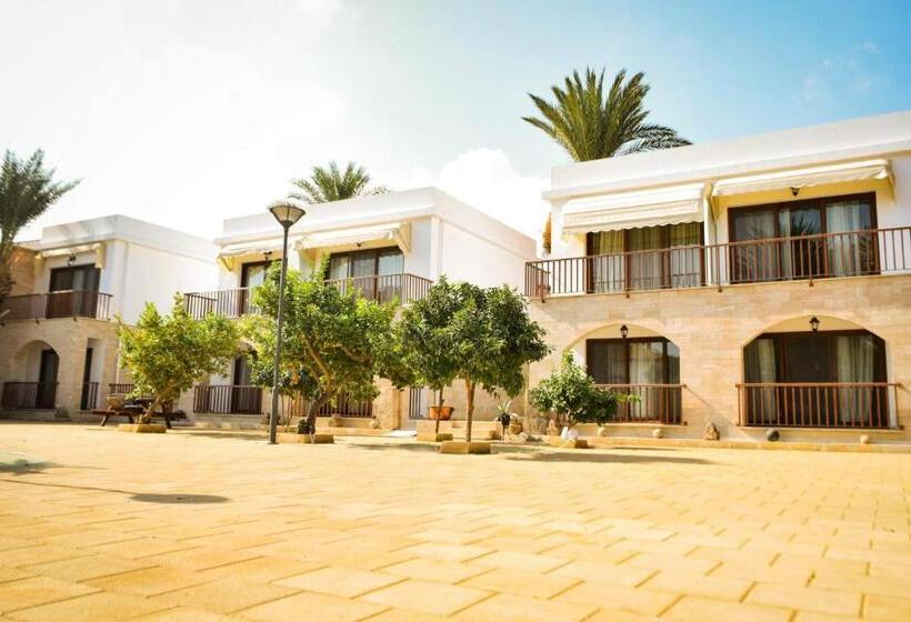 ペンション Golden Palms Guest House & Cafe