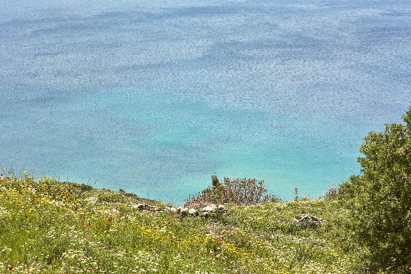 Agnanti Andros Apartments