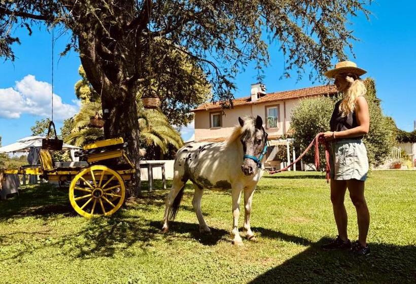 ベッドアンドブレックファースト Agriturismo Colle Salomonio