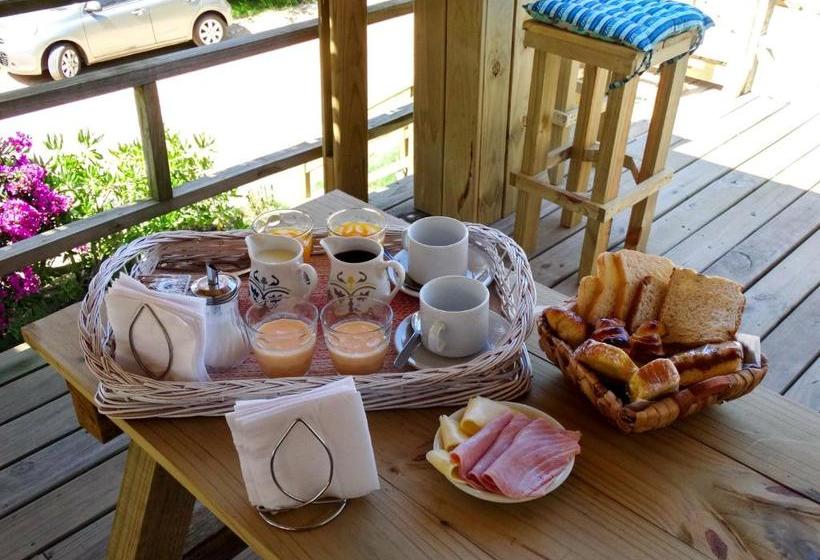 تختخواب و صبحانه Boutique La Mexicana Suites & Beach