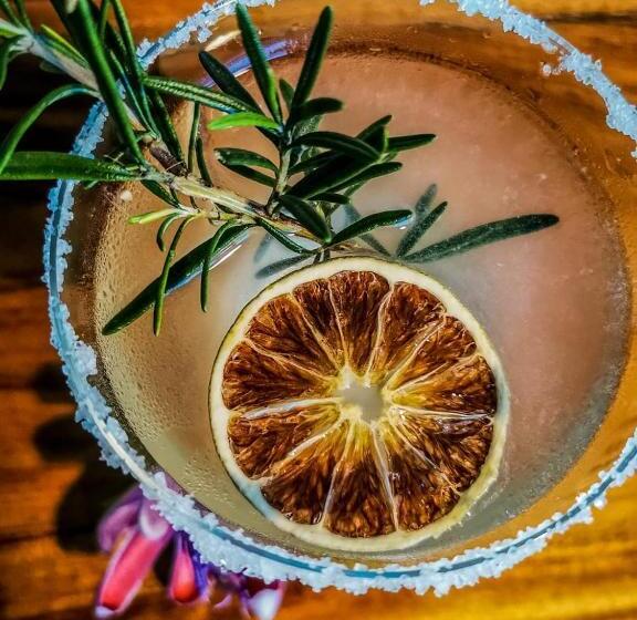 Ecohotel Monte Tierra Habitaciones Y Glamping