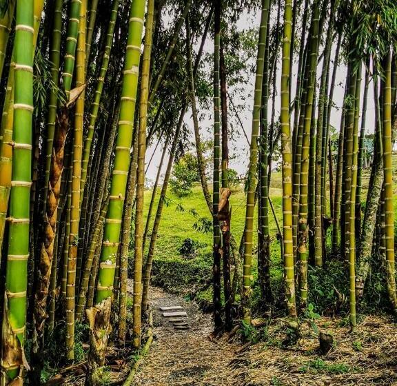 Ecohotel Monte Tierra Habitaciones Y Glamping