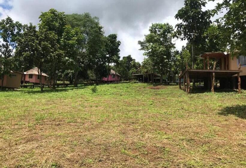 فندق Gibbon Lodge