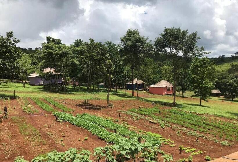 فندق Gibbon Lodge