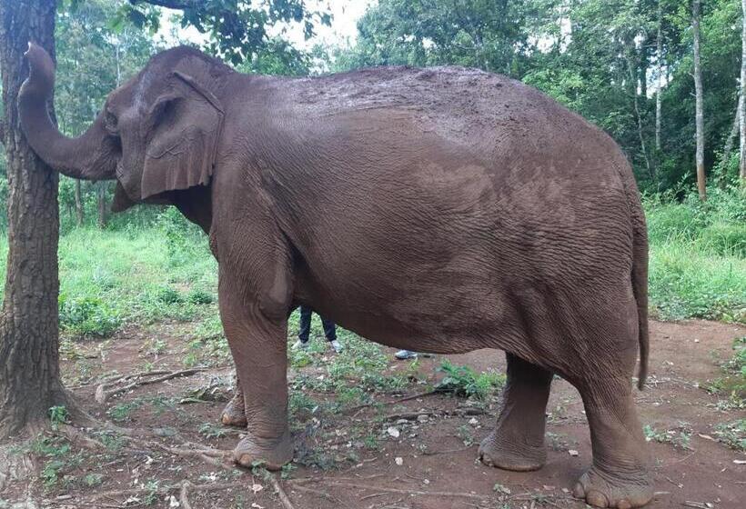 فندق Gibbon Lodge