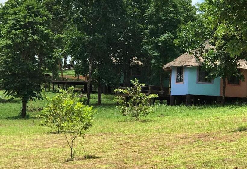 فندق Gibbon Lodge