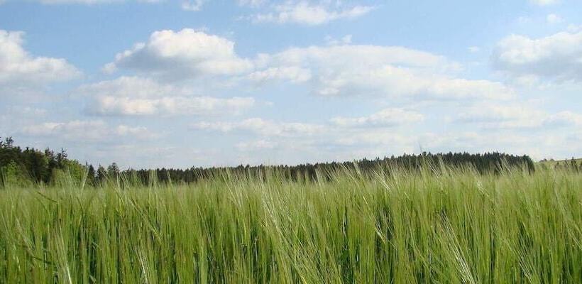 Отель Landgasthof Penn