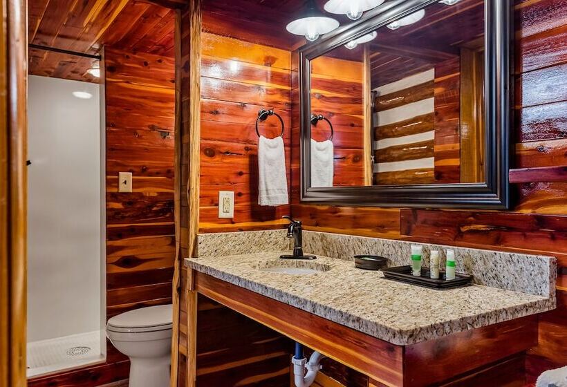 هتل Log Cabin Inn