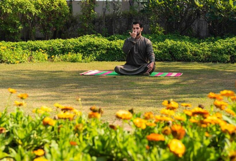 酒店 Blusalzz Collection   Siddha Wellness Village, Faridabad   Haryana