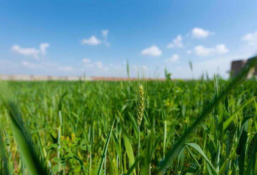 酒店 Blusalzz Collection   Siddha Wellness Village, Faridabad   Haryana