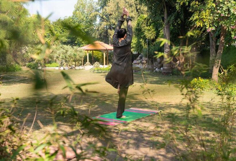 酒店 Blusalzz Collection   Siddha Wellness Village, Faridabad   Haryana