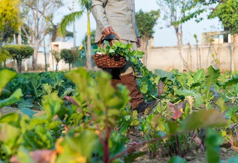 酒店 Blusalzz Collection   Siddha Wellness Village, Faridabad   Haryana