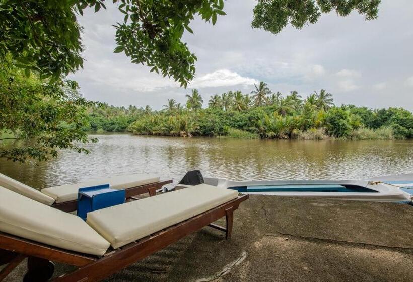 Пансион Ging Oya Lodge