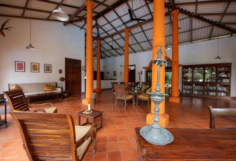 Пансион Ging Oya Lodge