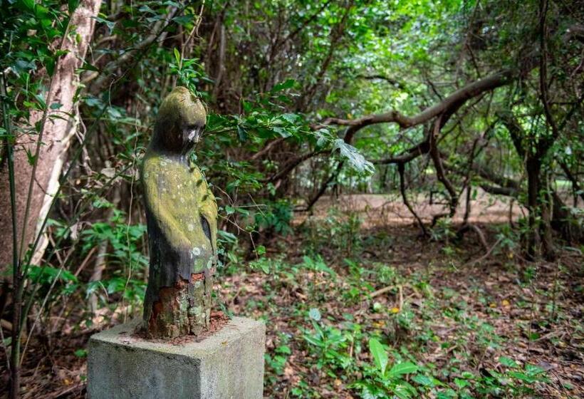 Пансион Ging Oya Lodge