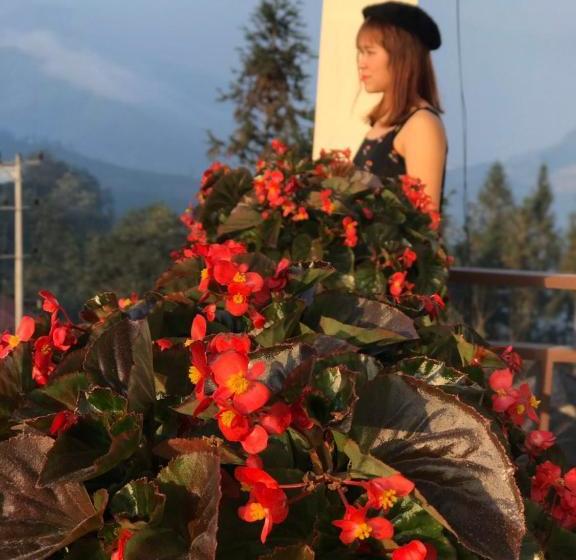 پانسیون Misty Hostel Sapa