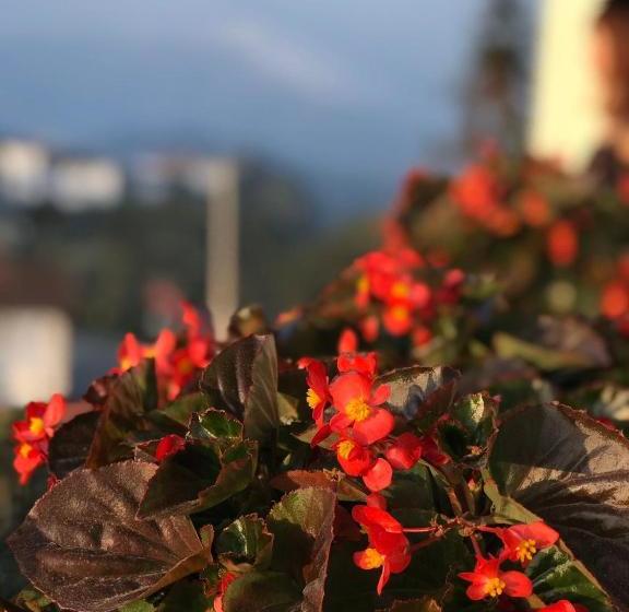 پانسیون Misty Hostel Sapa