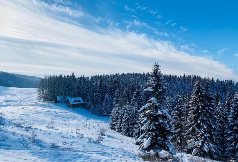 Bed and Breakfast Vila Ambiente Donovaly