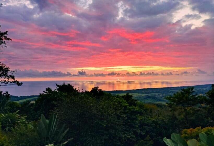 ホテル Lapazul Boutique