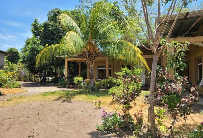 هتل Sophie House