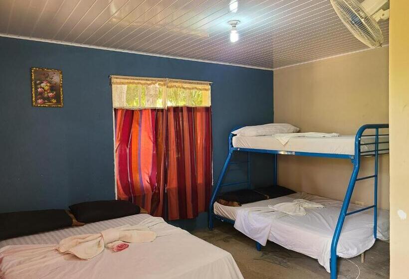 בית מלון כפרי Sophie House