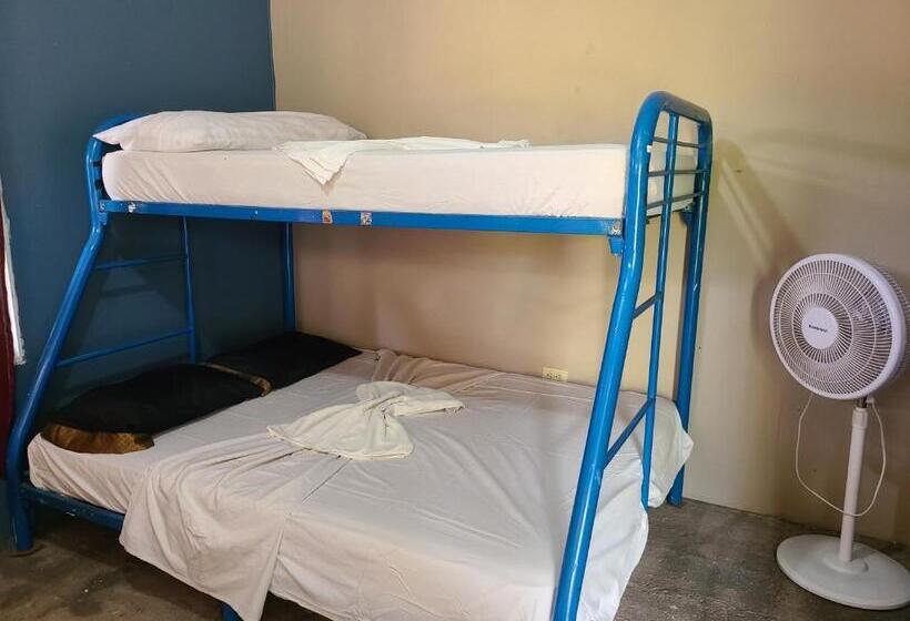 בית מלון כפרי Sophie House