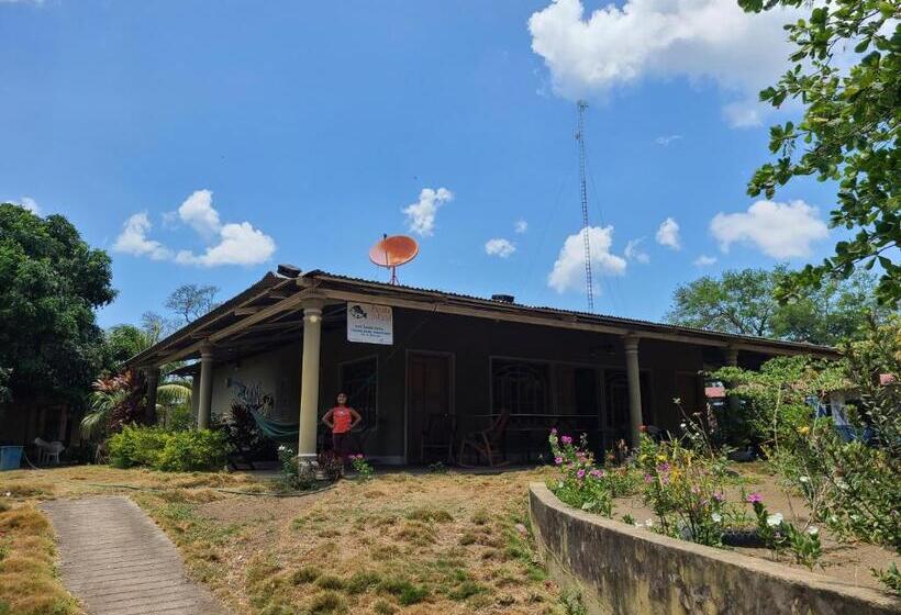 هتل Sophie House